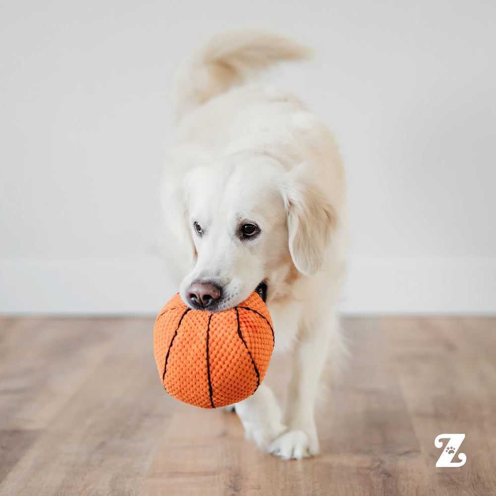 ZippyPaws comparaison taille avec chien, adapté à toutes tailles
