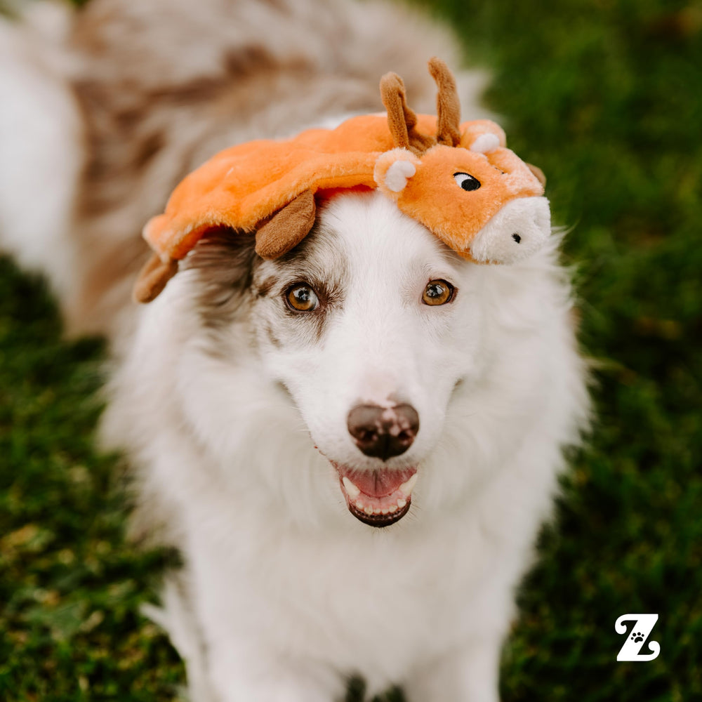 ZippyPaws intérieur des couineurs visibles pour sons engageants multiples