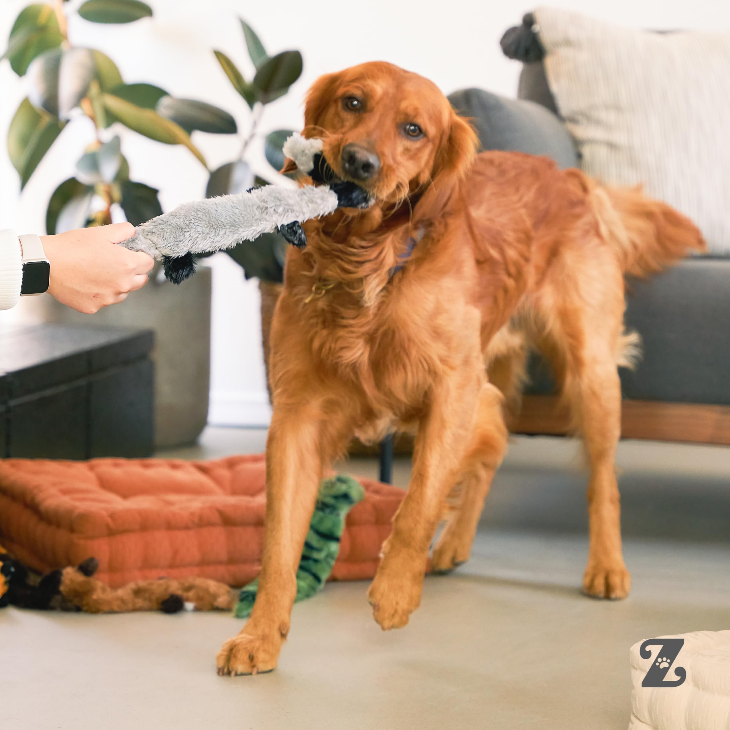 ZippyPaws règle montrant l'échelle 18 pouces pour référence taille