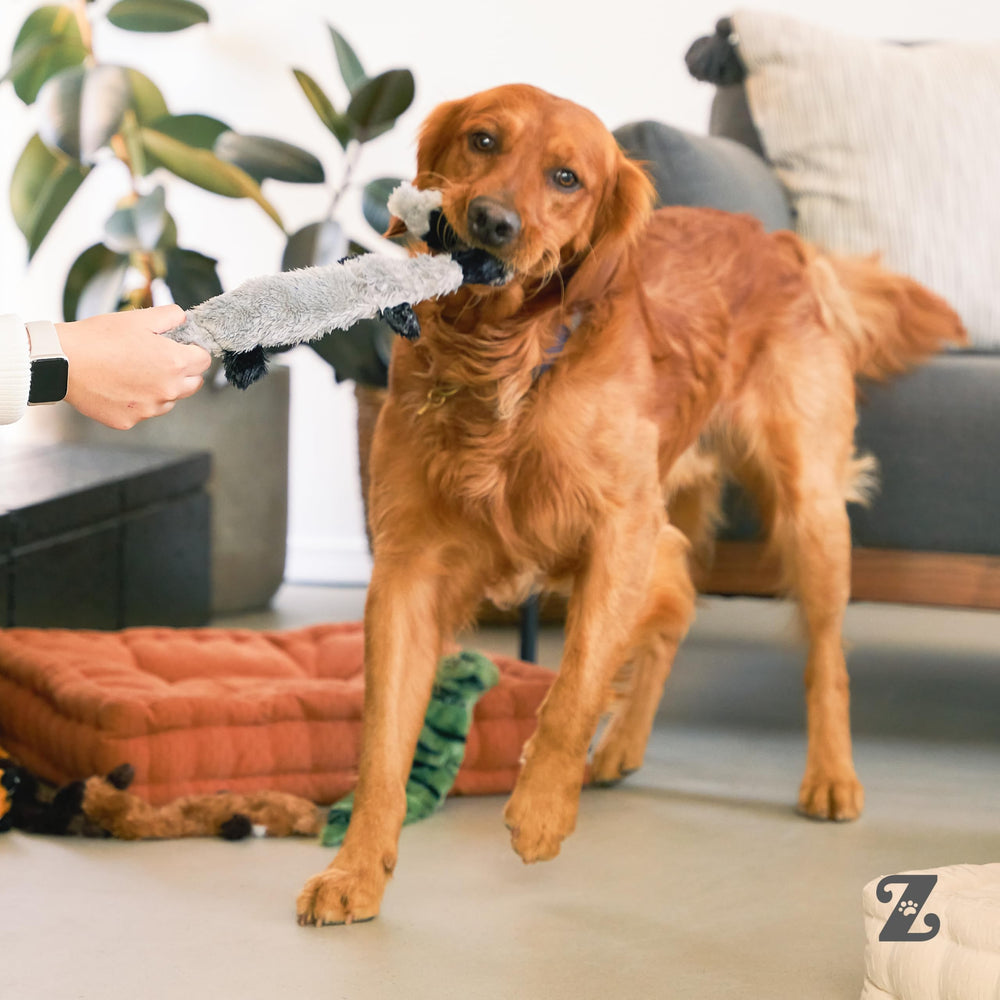 ZippyPaws règle montrant l'échelle 18 pouces pour référence taille