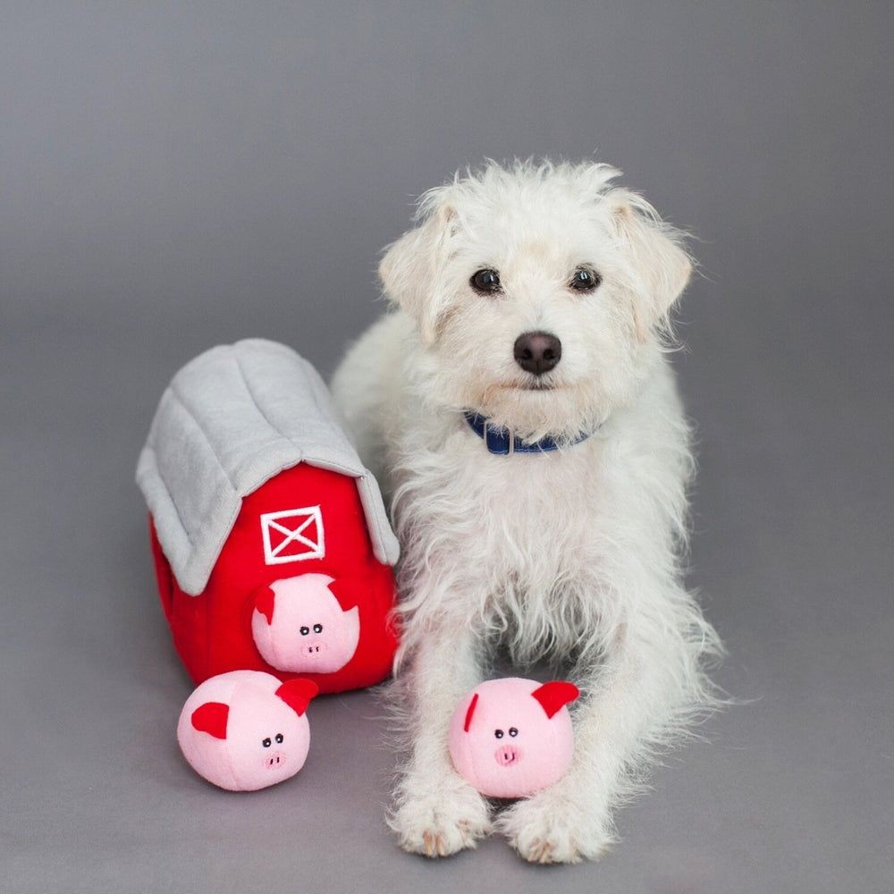 ZippyPaws chien jouant avec la maisonnette pour stimulation mentale