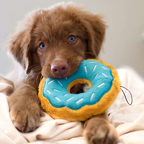 ZippyPaws Donutz Blueberry chien jouant, favorise activité et distraction