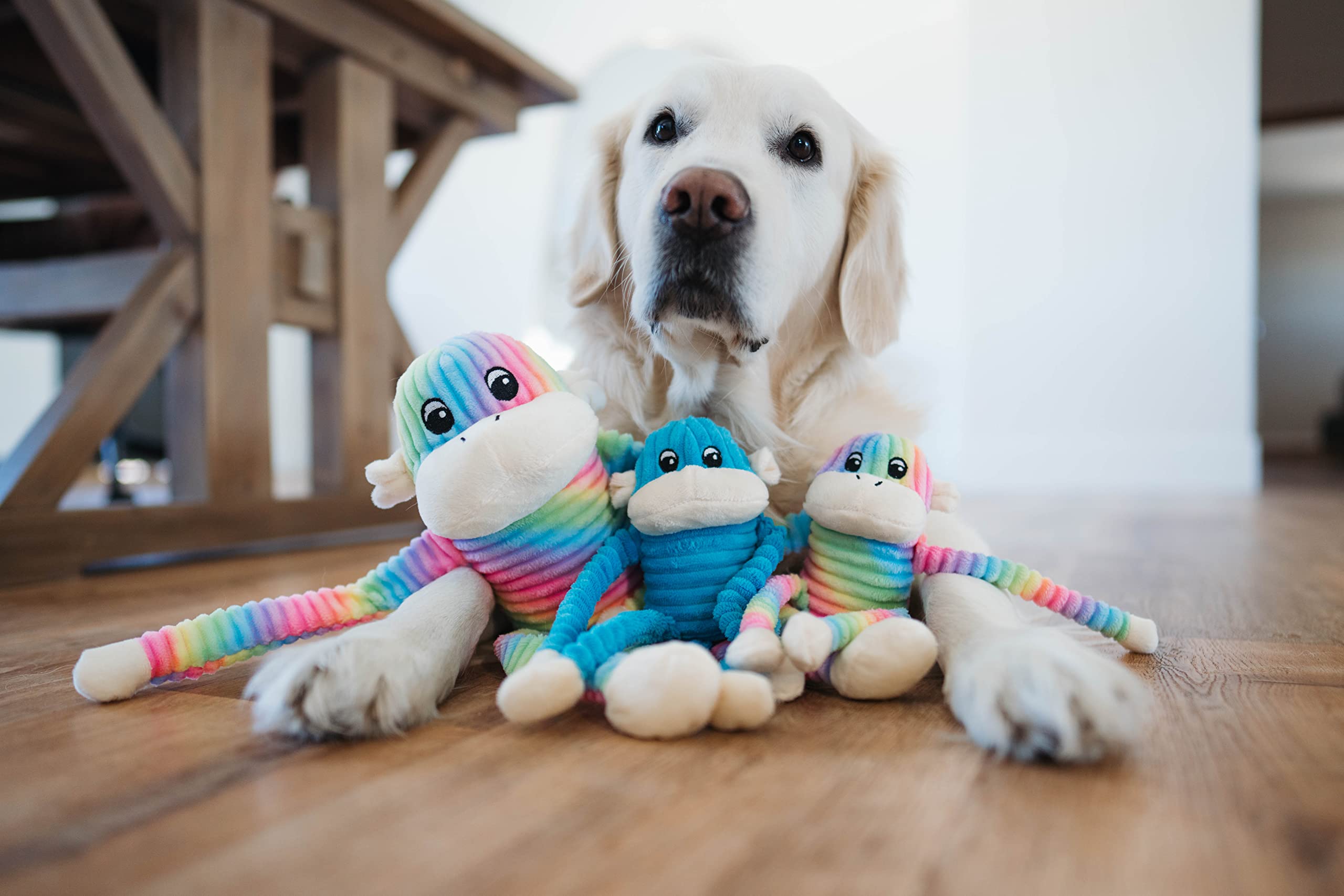 ZippyPaws ensemble arc-en-ciel et bleu montrant variété visuelle