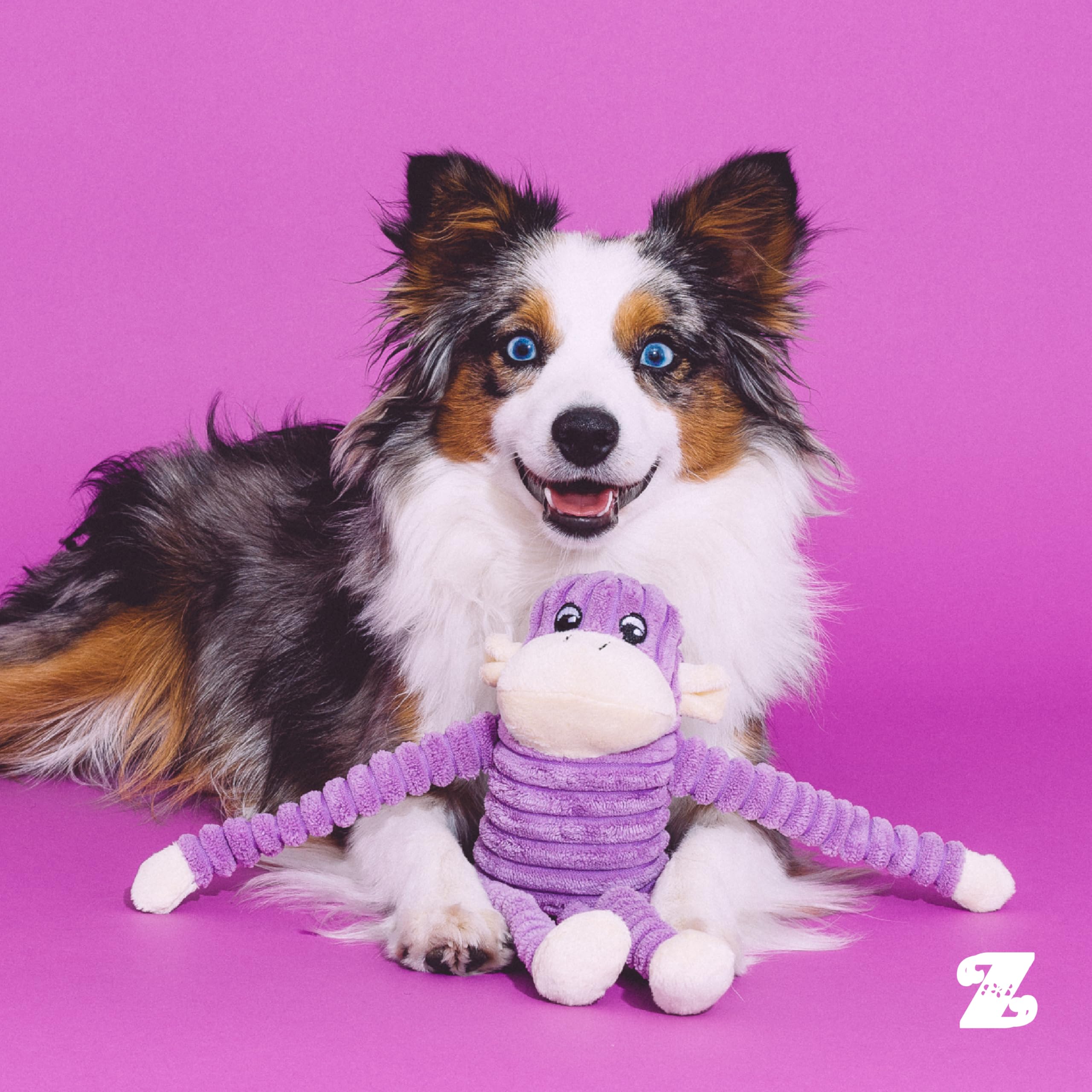 ZippyPaws étiquette produits montrant informations et sécurité d’usage