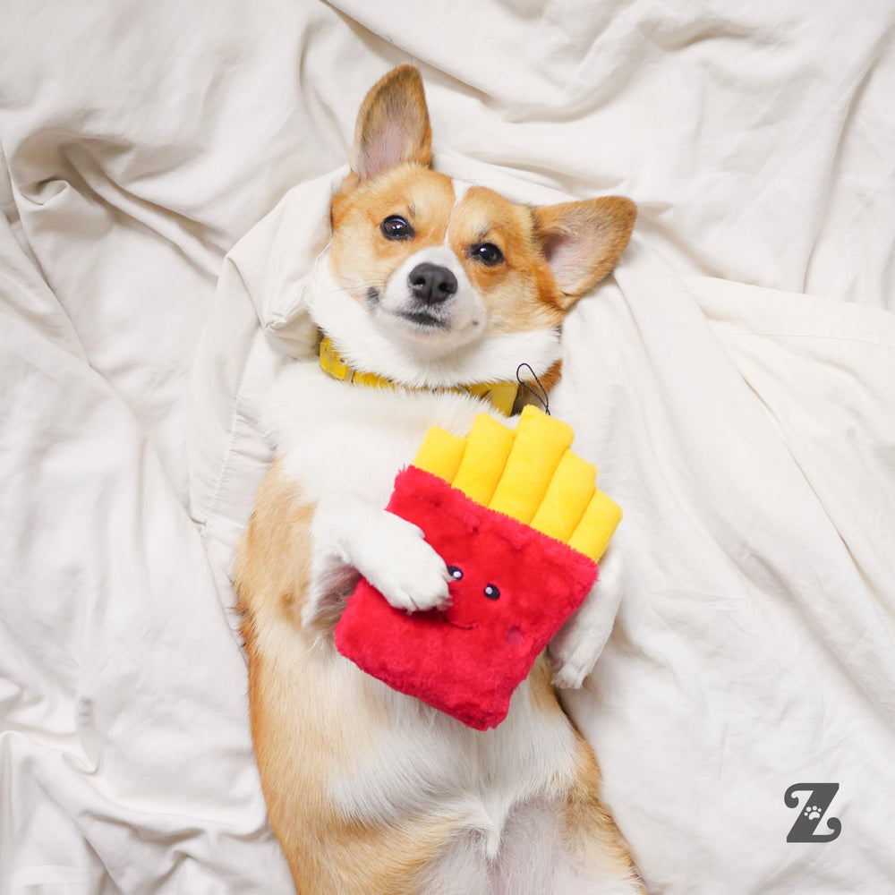 ZippyPaws fries dans panier pour démontrer confort et compagnon de sieste