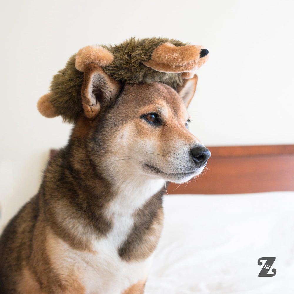 ZippyPaws comparaison de taille 10 pouces montrant l'échelle pour différentes races