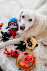 ZippyPaws comparaison taille avec une main pour évaluer l'adaptation au museau