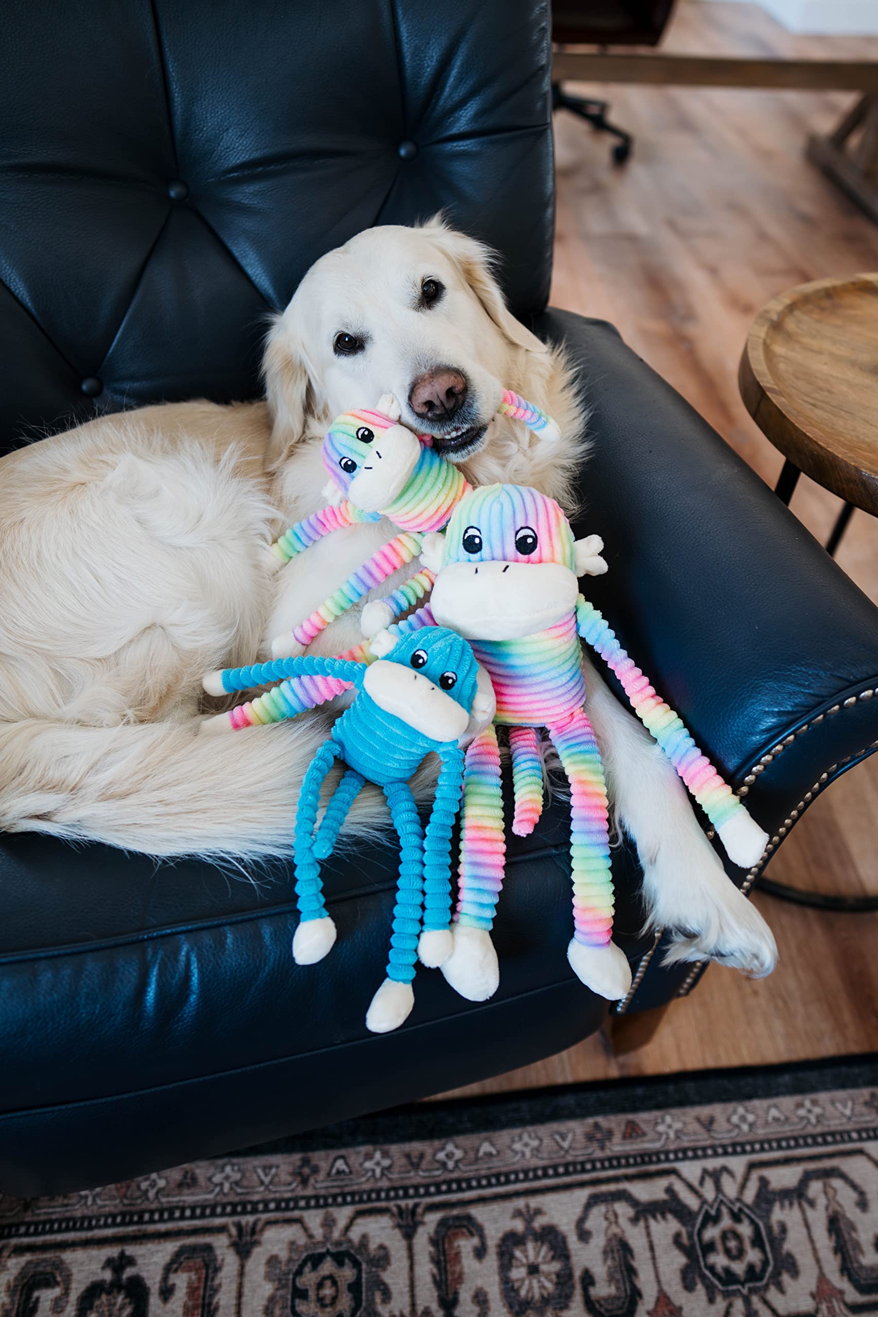 ZippyPaws comparaison taille avec petit chien pour évaluer l'échelle