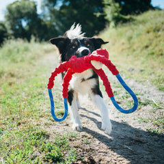 ZippyPaws zoom sur peluche douce du singe offrant confort et sécurité pour dents