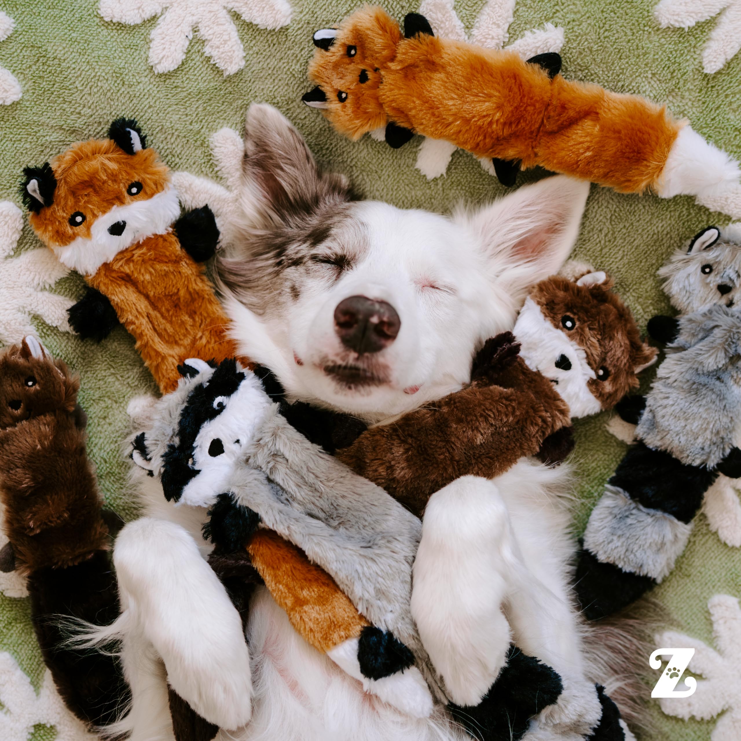 ZippyPaws comparaison d'échelle montrant taille 11" adaptée aux petits et moyens chiens