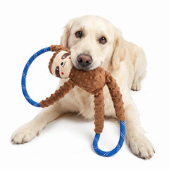 ZippyPaws comparaison taille montrant dimensions et ergonomie