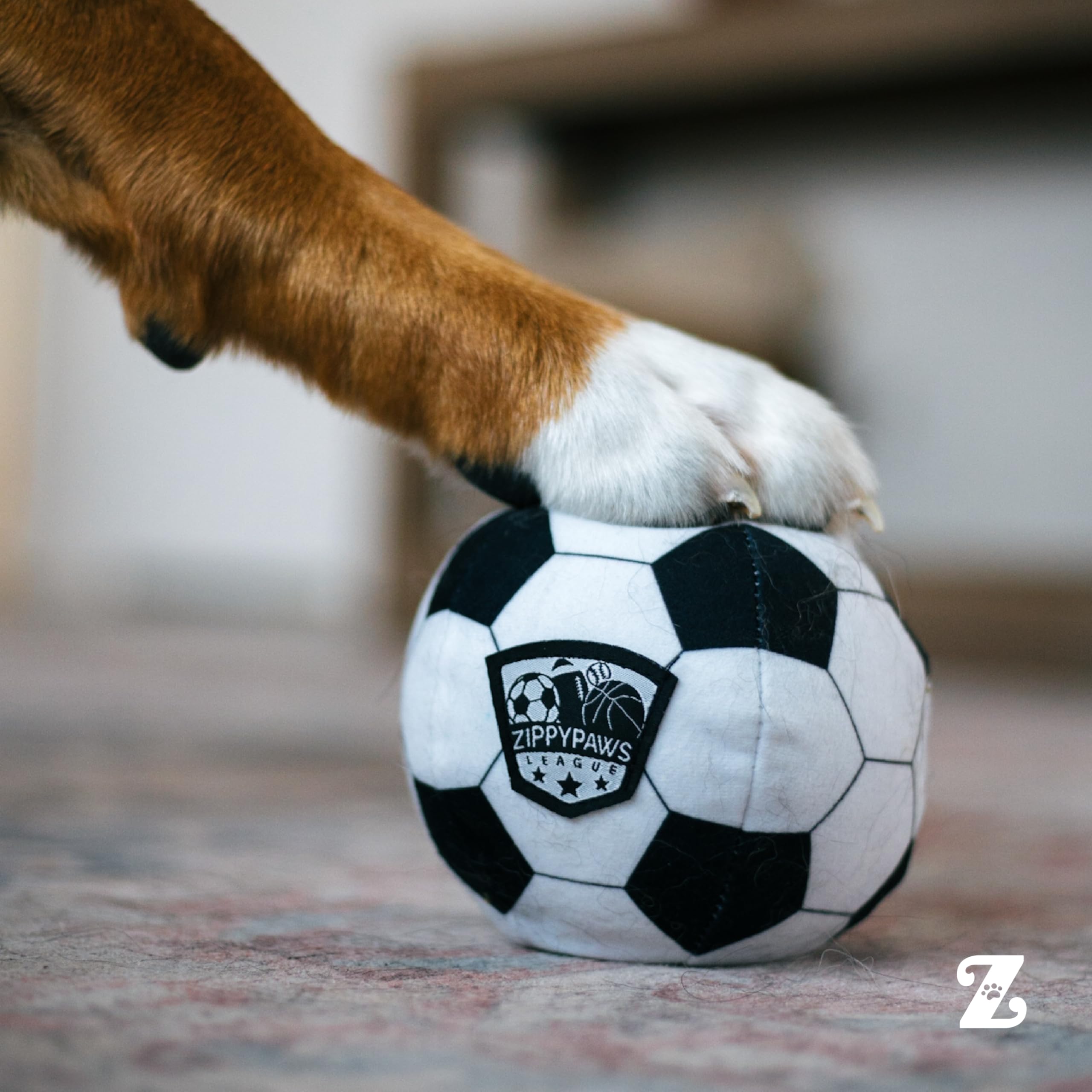ZippyPaws comparaison taille illustrant convenance pour différentes races