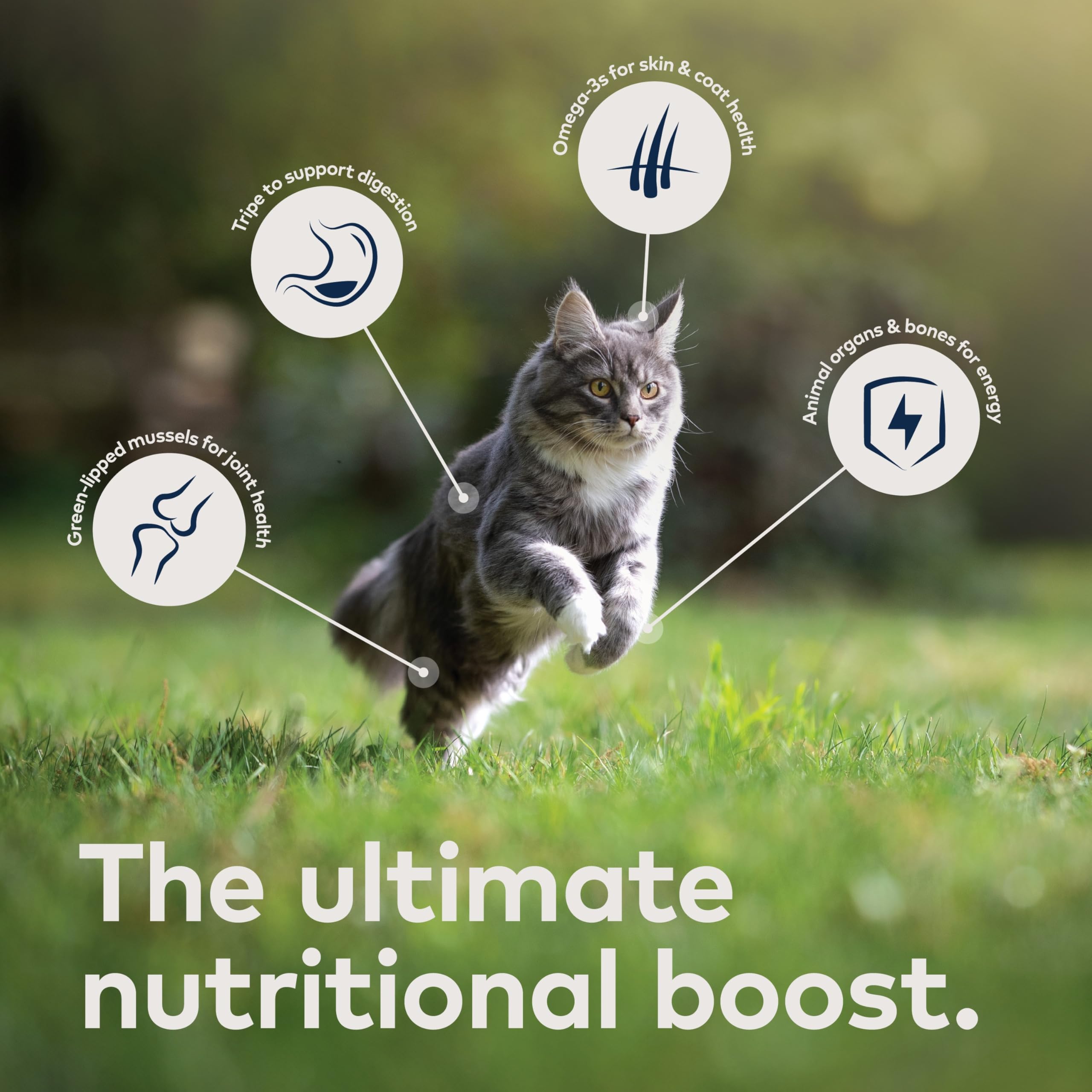 ZIWI étiquette ingredient zoom montrant ingrédients naturels