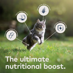 ZIWI étiquette ingredient zoom montrant ingrédients naturels