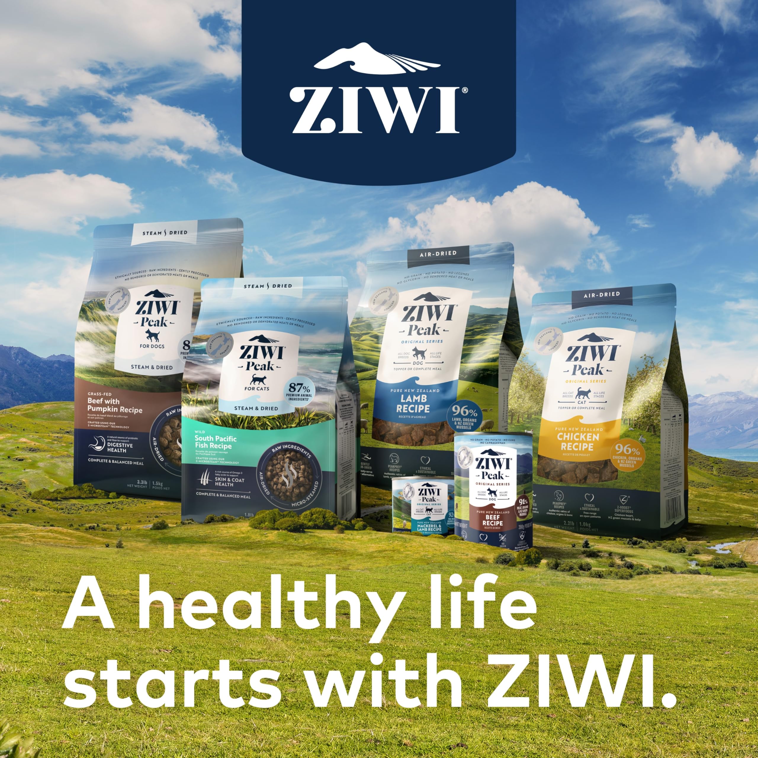 ZIWI chat dans intérieur montrant alimentation saine et ambiance domestique