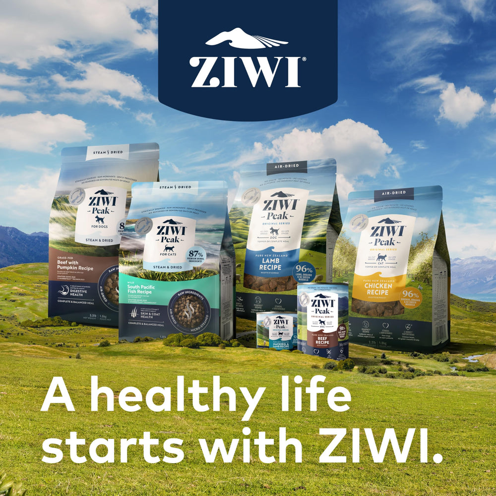ZIWI chat dégustant la pâtée illustrant plaisir et acceptation alimentaire