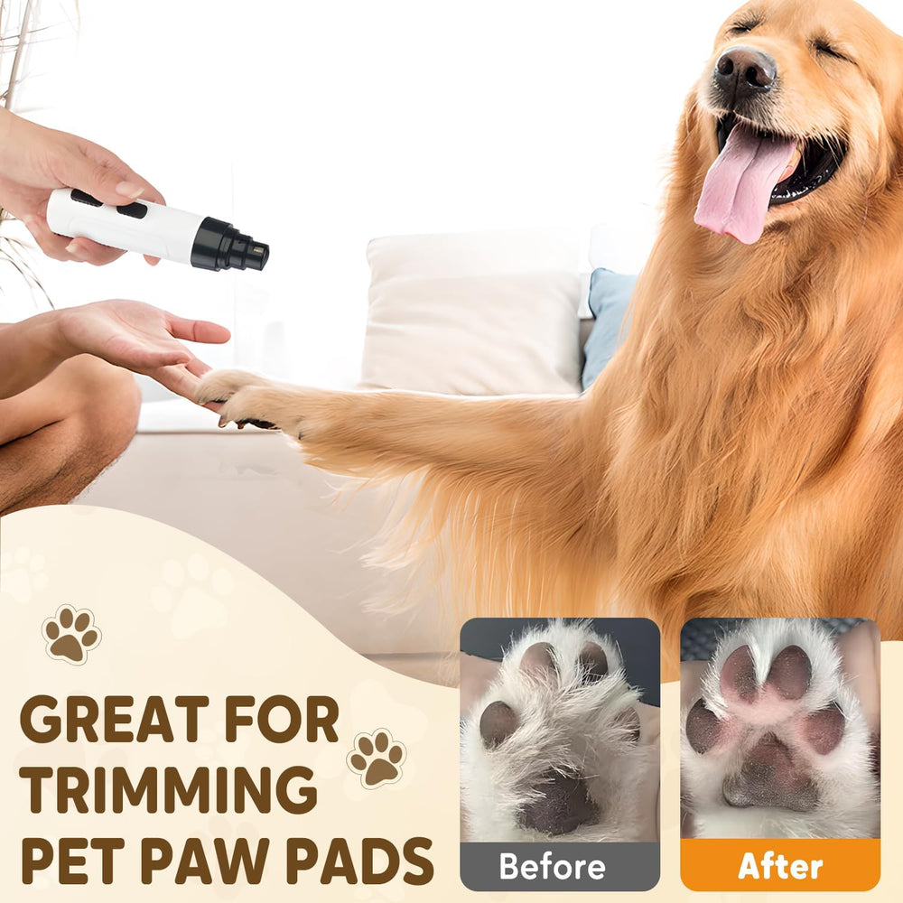 ZIYIME utilisation sur chat montrant confort et faible vibration