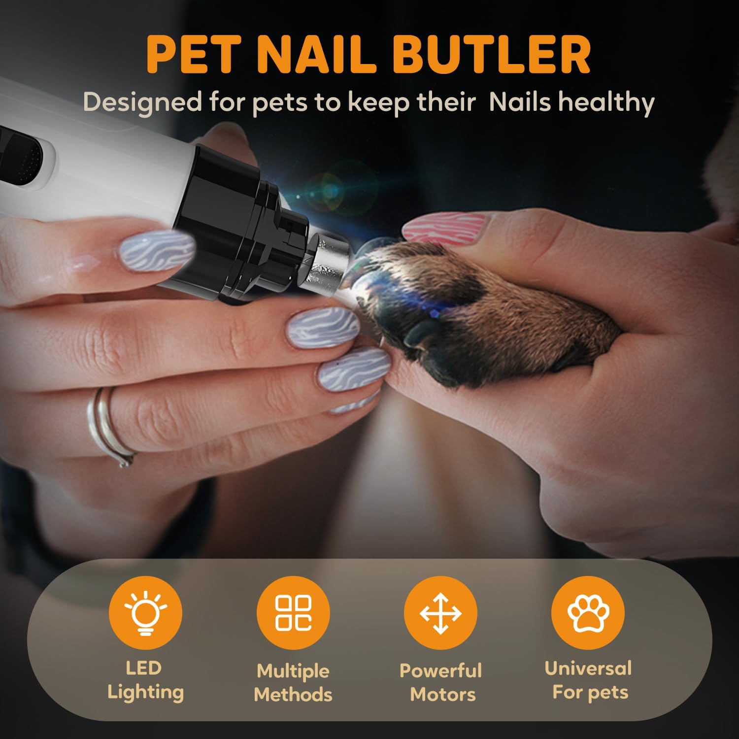 ZIYIME utilisation sur chien montrant coupe douce et réduction du stress