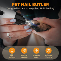 ZIYIME utilisation sur chien montrant coupe douce et réduction du stress