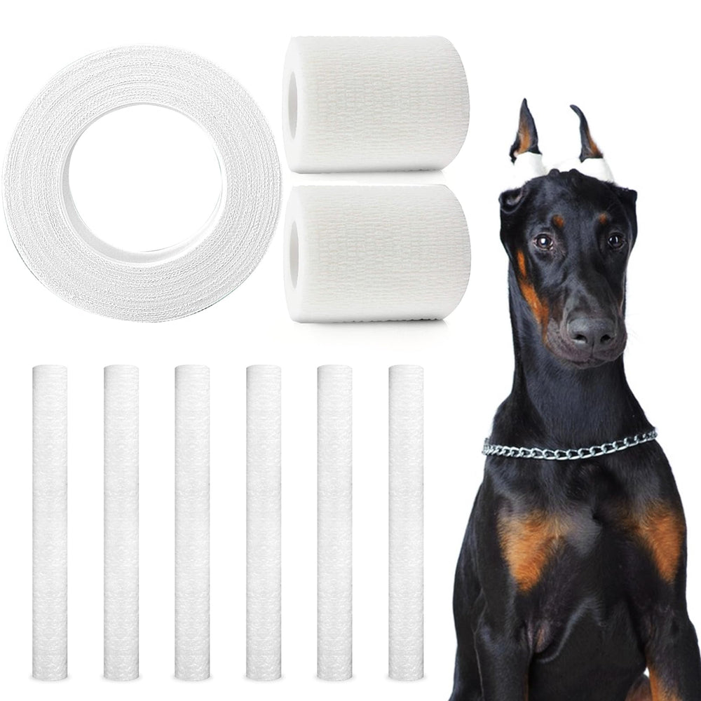 ziyue boîte du kit oreille et contenu complet pour maintien confortable