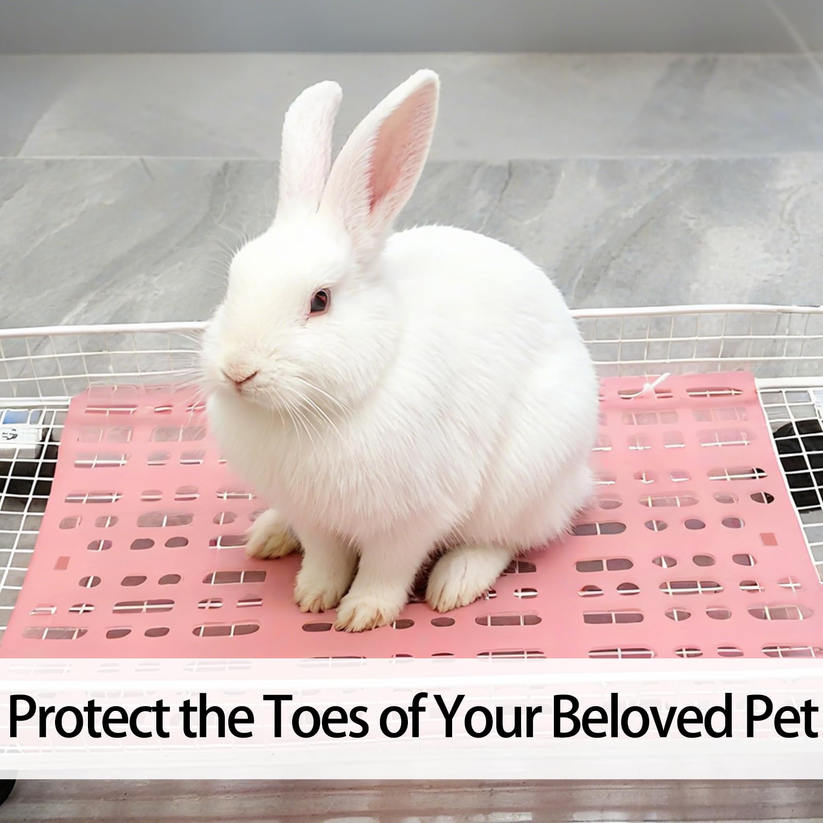 Zmpkhba tapis installé avec un lapin illustrant un environnement propre et aéré