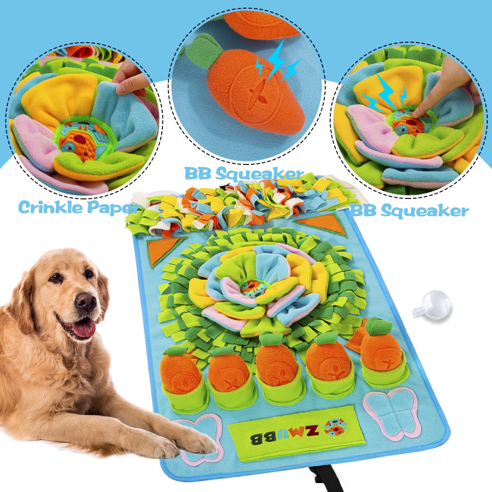 ZMUBB rangée de carottes cachées illustrant multiples cachettes pour varier l'activité