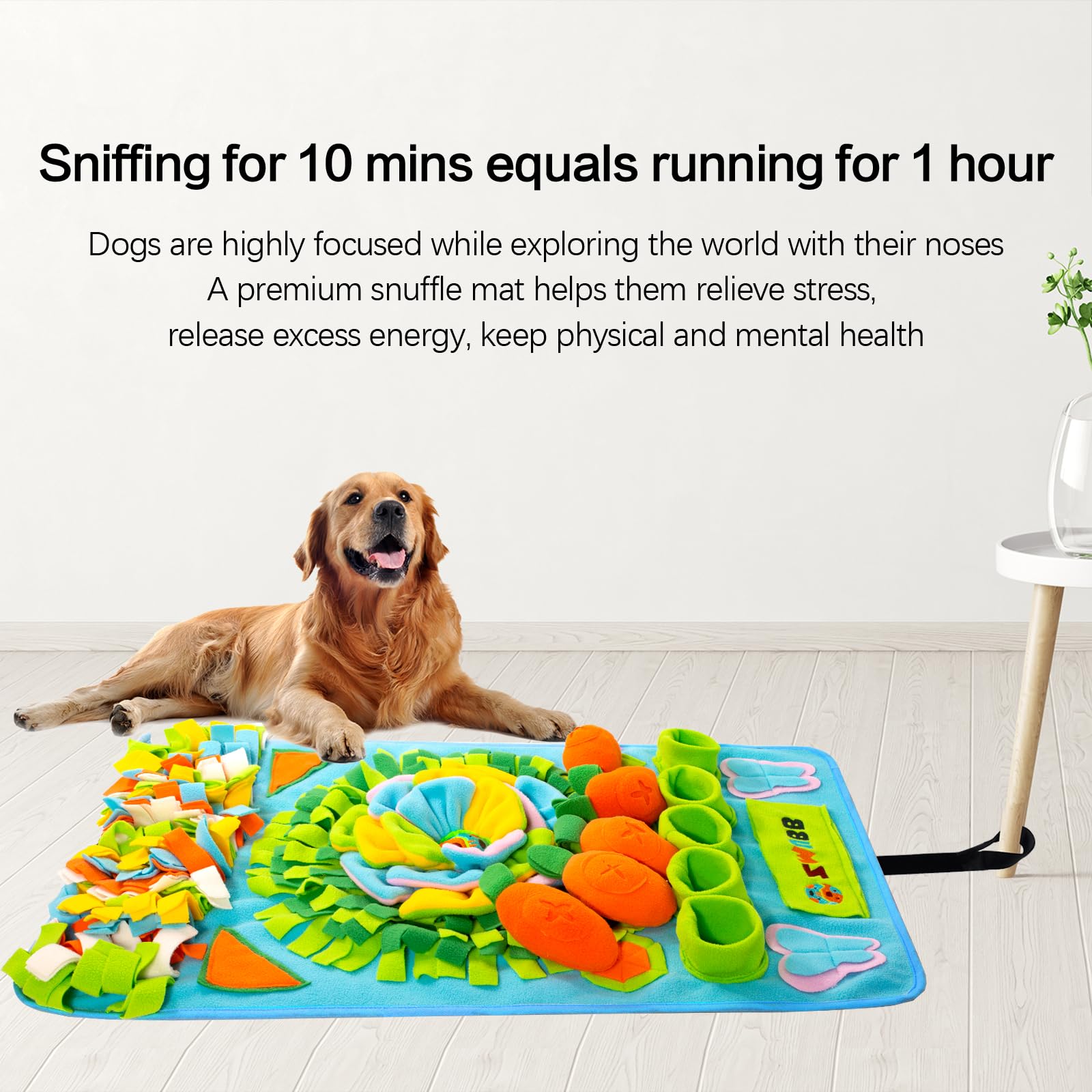 ZMUBB tapis dans machine à laver démontrant entretien simple et lavage possible