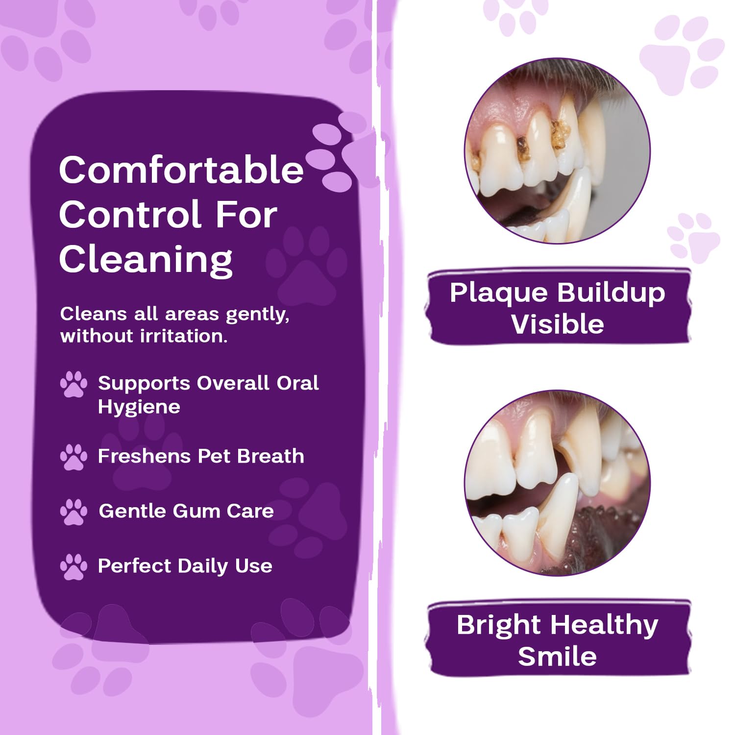 Zoila Pets doigt appliquant lingette sur dents pour nettoyage précis