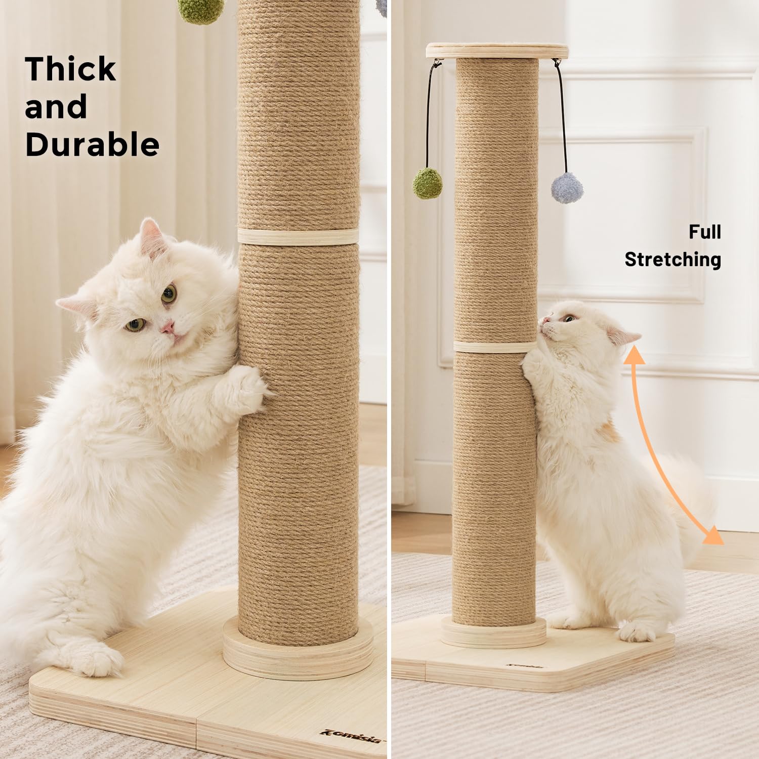 ZOMISIA comparaison taille avec chat montrant hauteur 35 pouces bénéfique