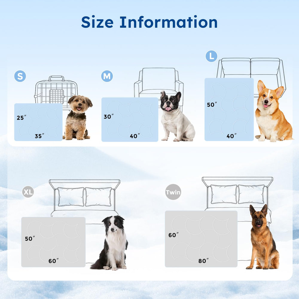 ZOMISIA comparaison d'échelle 30x40 indiquant taille adaptée aux chiens moyens