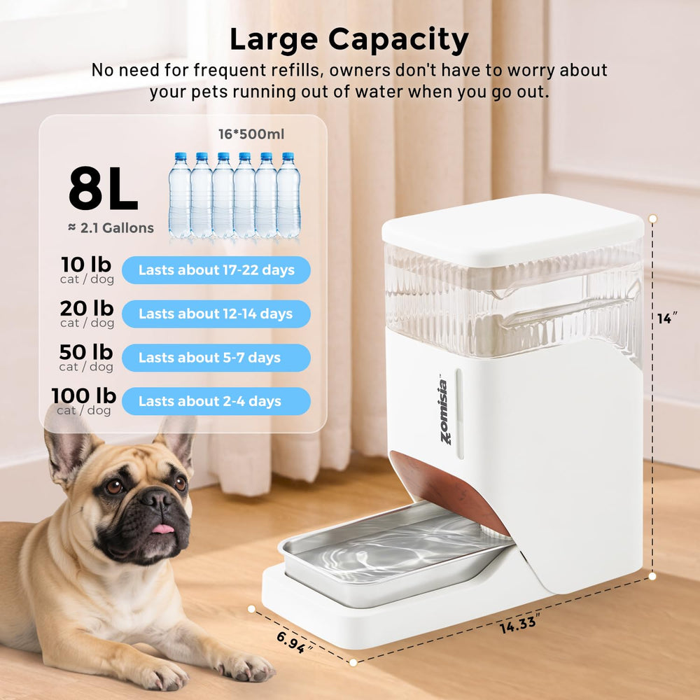 ZOMISIA gros plan sur la gamelle inox 304, durable et facile à nettoyer