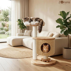 Zonoria Zephyria base lestée offrant stabilité et sécurité pendant le jeu