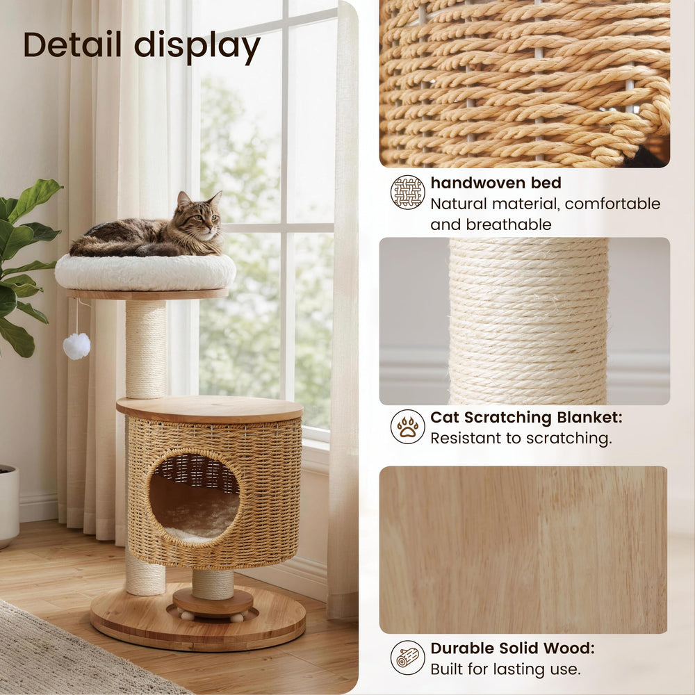 Zonoria Zephyria perchoir supérieur avec coussin moelleux pour observation confortable