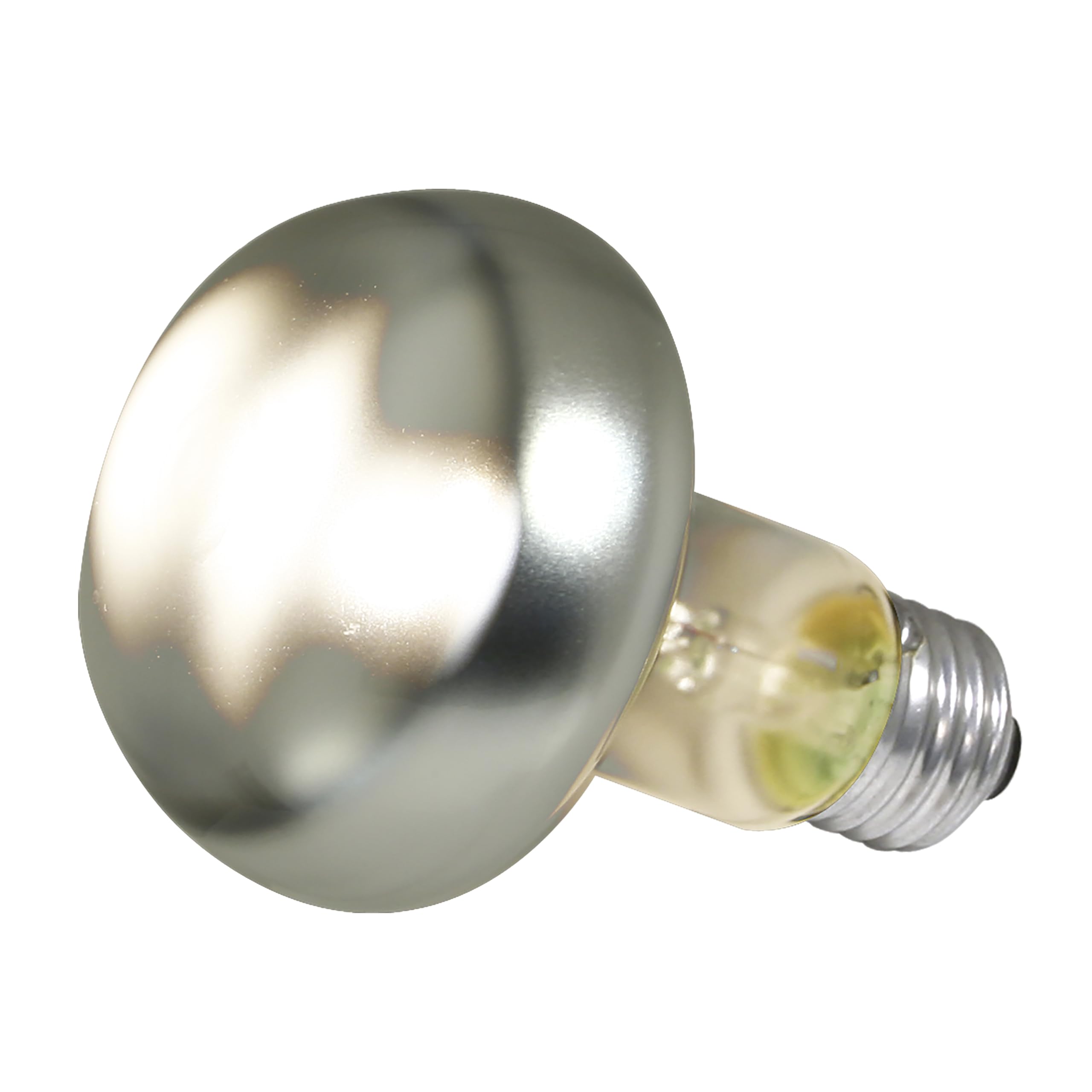 Zoo Med ampoule comparaison taille montrant échelle et compatibilité