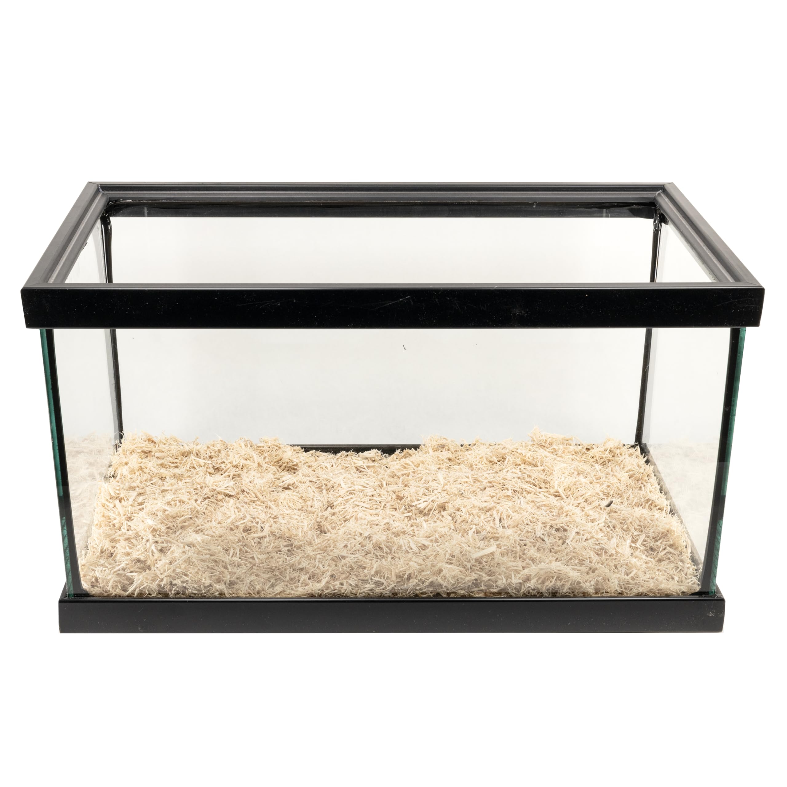 Zoo Med Aspen utilisé dans terrarium offrant environnement propre et sans odeur