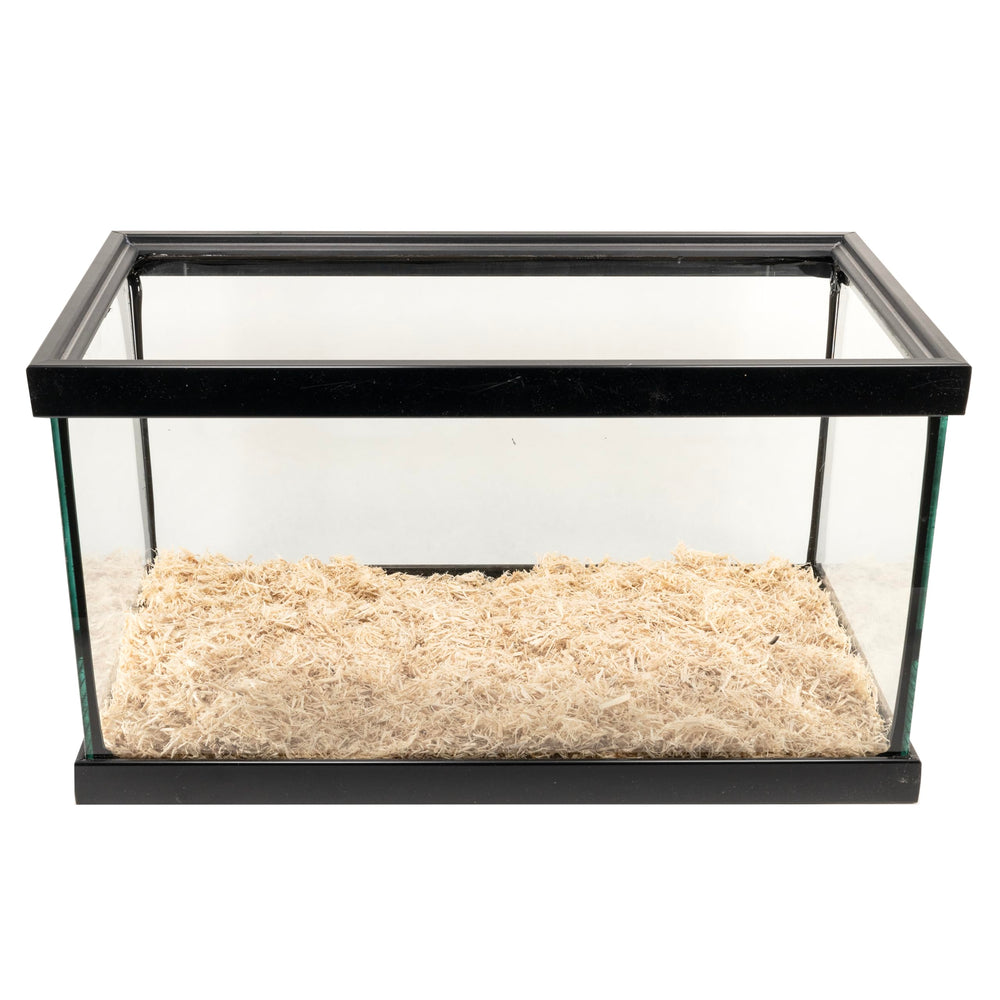 Zoo Med Aspen utilisé dans terrarium offrant environnement propre et sans odeur
