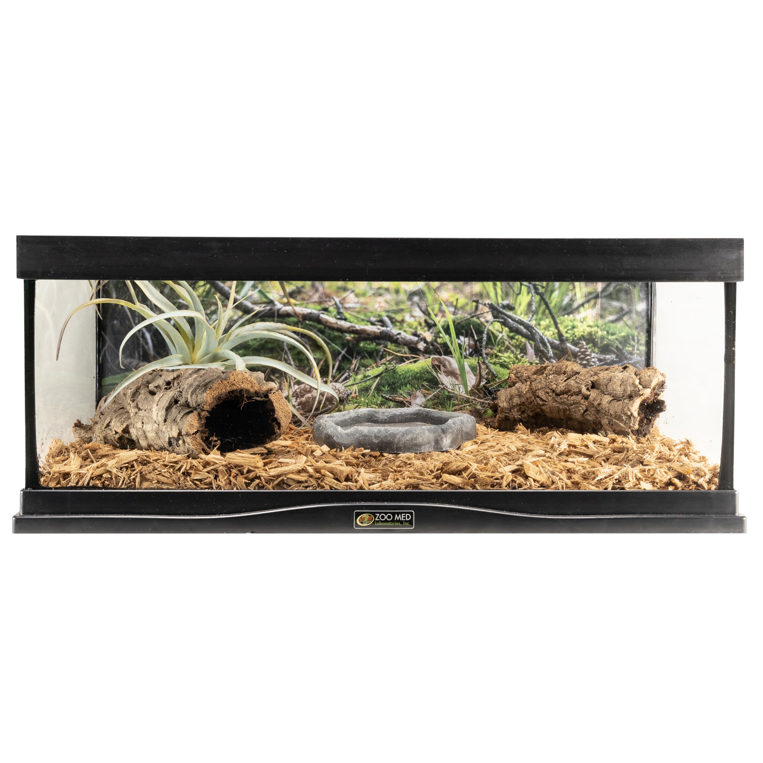 Outils d'entretien avec Forest Floor Zoo Med facilitant le nettoyage