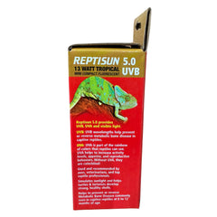 Zoo Med Reptisun ampoule installée dans terrarium améliorant visibilité et comportement