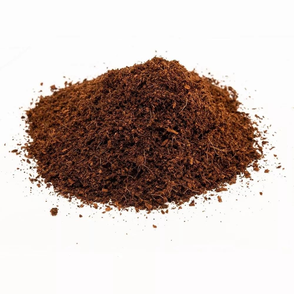 Zoo Med terrarium tropical illustrant humidité et végétation saine