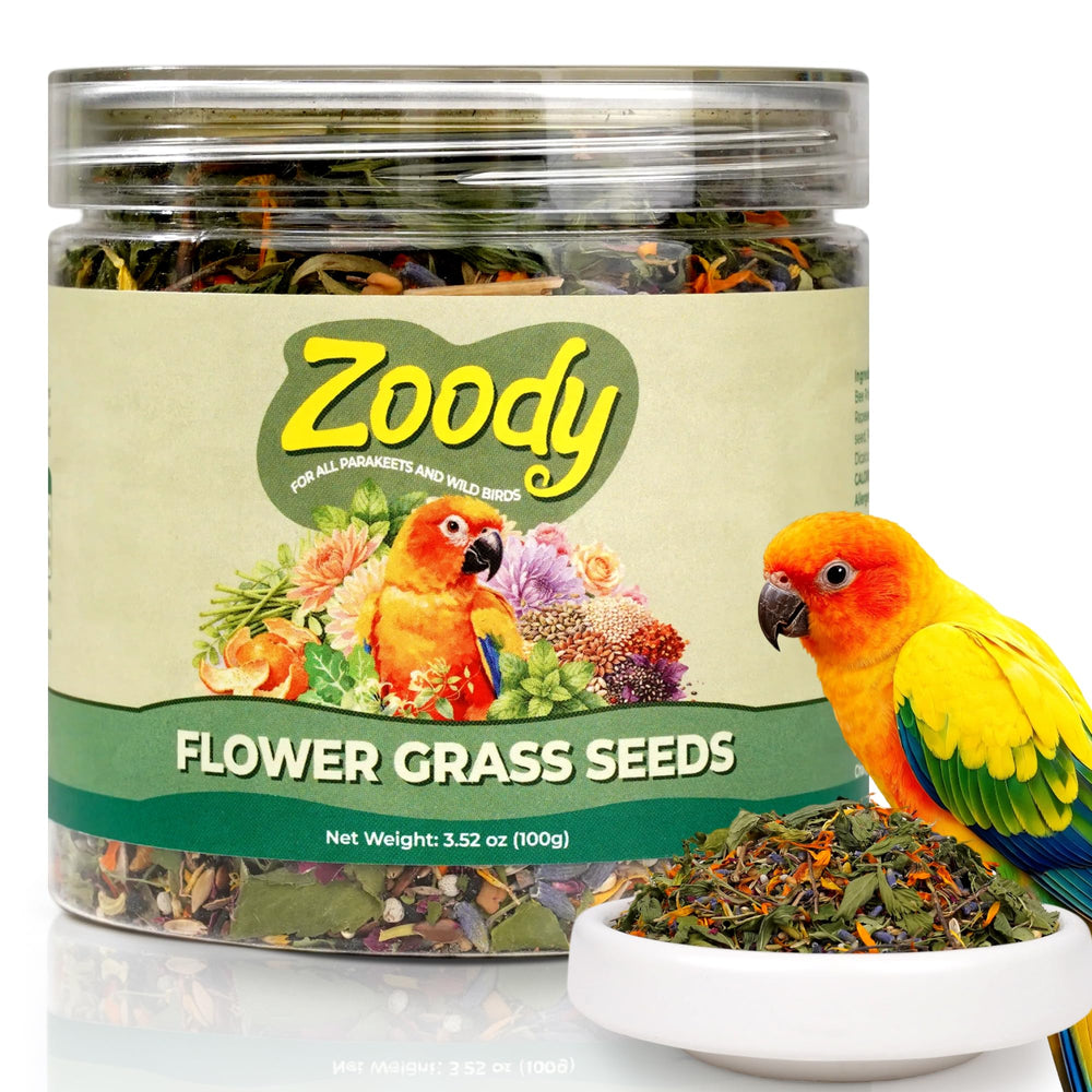 Zoody emballage face montrant le produit et avantages nutritionnels