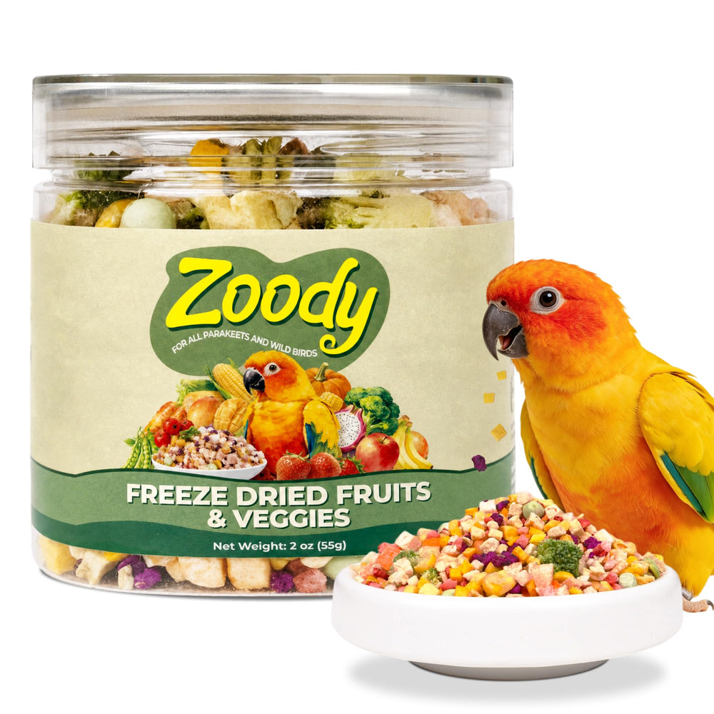 Zoody packaging avant montrant sachet et bénéfice conservation naturelle
