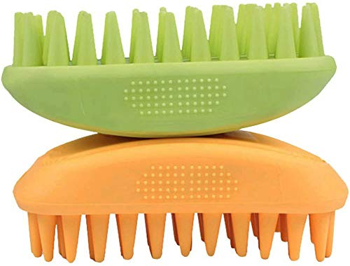 ZOOPOLR packaging et contenu montrant la brosse prête à l'emploi