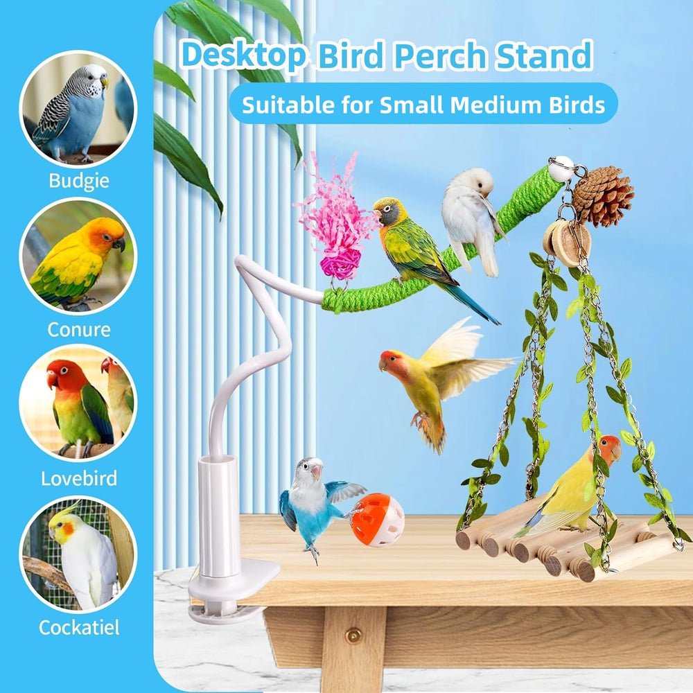 ZooVibe échelle et jouets suspendus stimulant grimpe et foraging