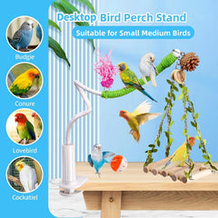 ZooVibe échelle et jouets suspendus stimulant grimpe et foraging