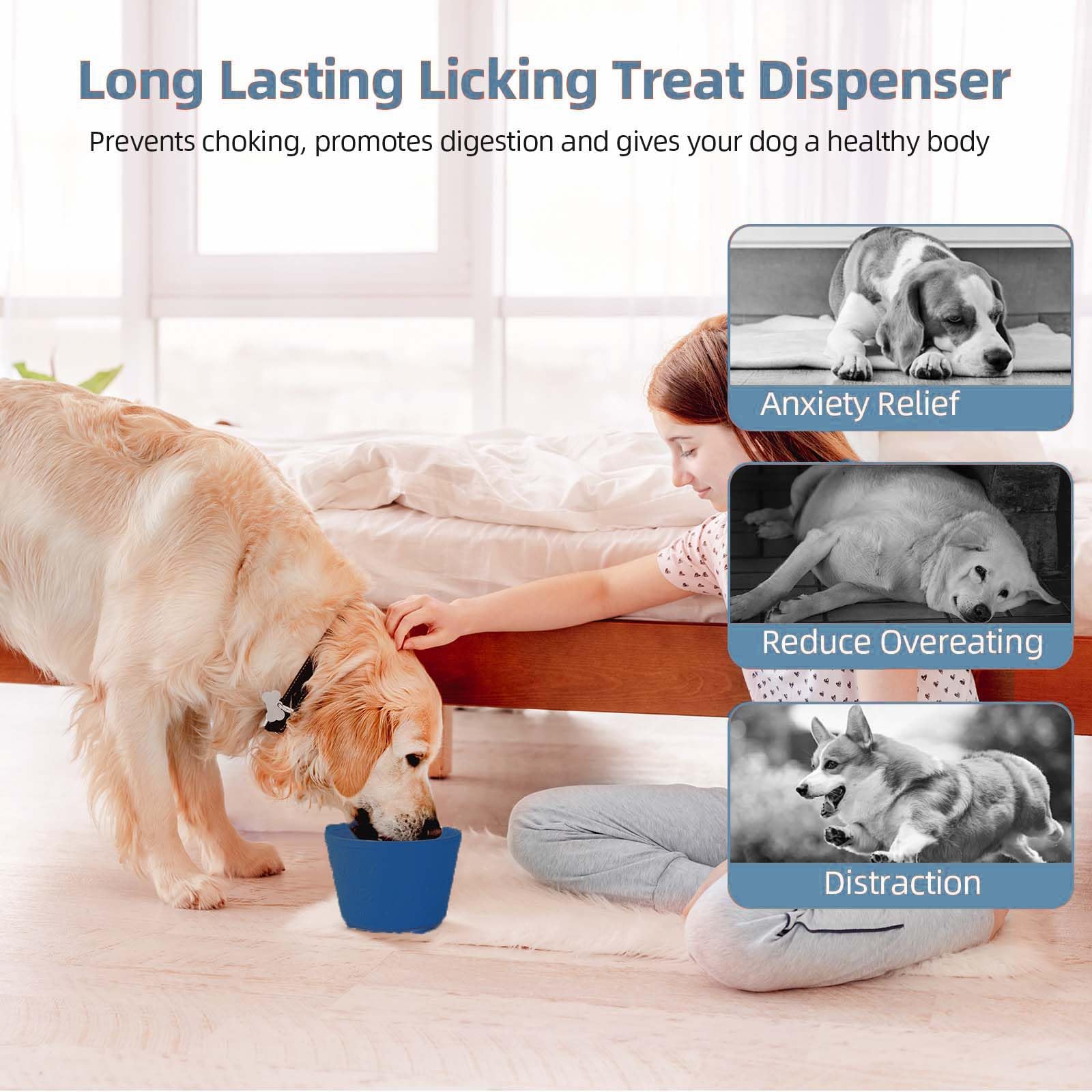 ZOURYNUA comparaison taille main illustrant capacité 1,6 cup adaptée petits chiens