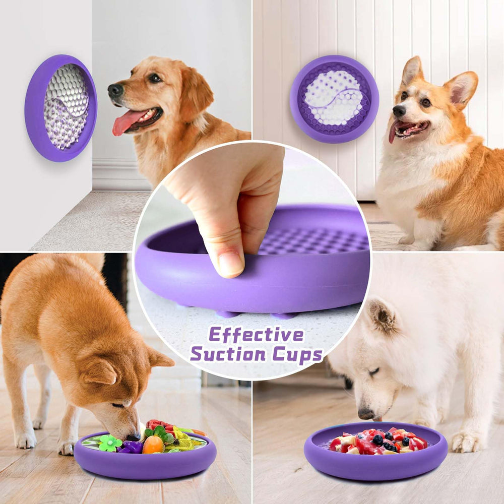ZOURYNUA chien en train de lécher la gamelle, distraction apaisante pendant toilettage