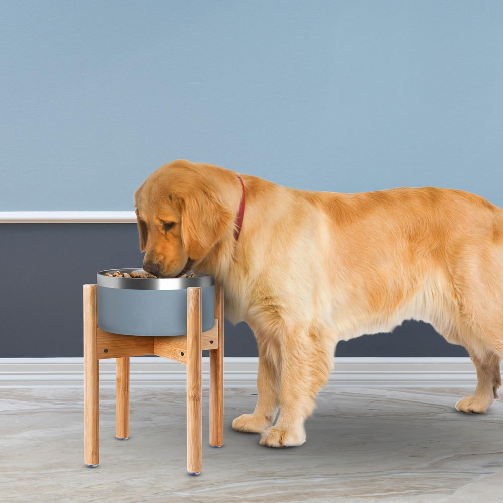 ZPirates utilisé par grand chien, facilite posture et confort du repas