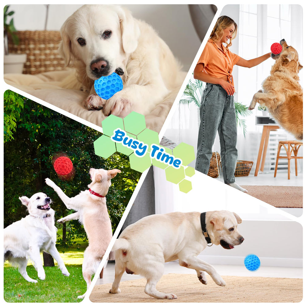 ZRIFAQESW chien jouant avec balle pour exercice actif