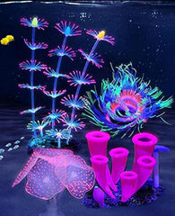 ZtohPyo décor corail avant plan montrant fixation stable et esthétique