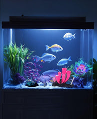 ZtohPyo gros plan silicone souple montrant texture sûre pour poissons